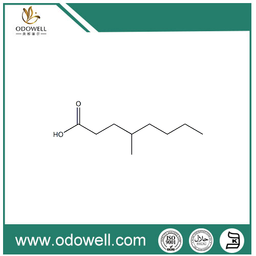 Aigéad 4-Methyloctanoic