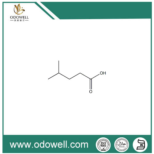 Aigéad Nádúrtha 4-Methylvaleric