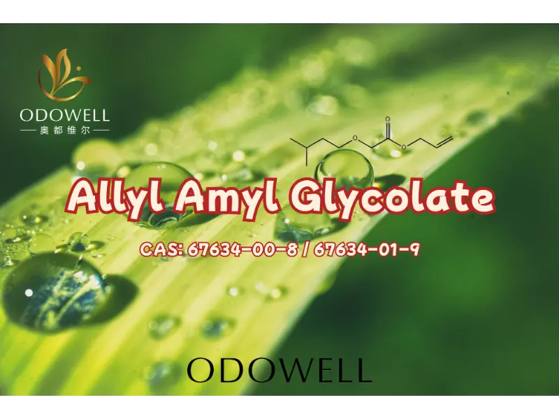Allyl Amyl Glycolate - Eistir Fruity Ard-Thionchar ODOWELL le haghaidh Cruthú Cumhráin Nua-Aimseartha