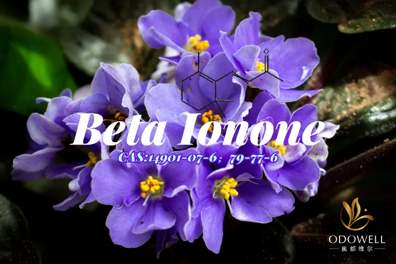 Beta Ionone - Céatóin Violet-Woody Clasaiceach ODOWELL le haghaidh Doimhneacht Mhín cumhráin