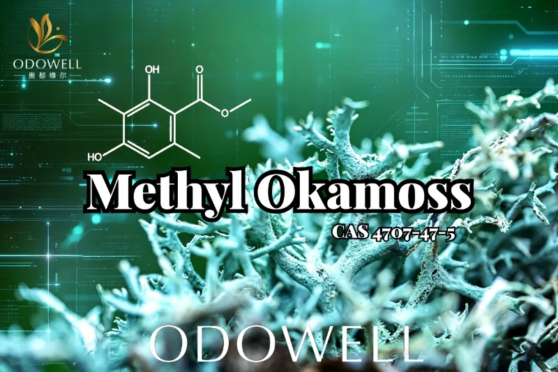 Tugann ODOWELL isteach Methyl Okamoss: Caonach darach Sintéiseach Barántúil le haghaidh Máistreacht Chypre agus Fougère