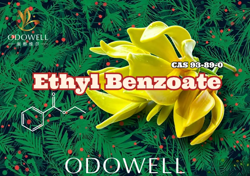 Seolann ODOWELL Ethyl Benzoate: Ester Green Green Winter-Ylang le haghaidh Elegance Floral agus Oirthearach