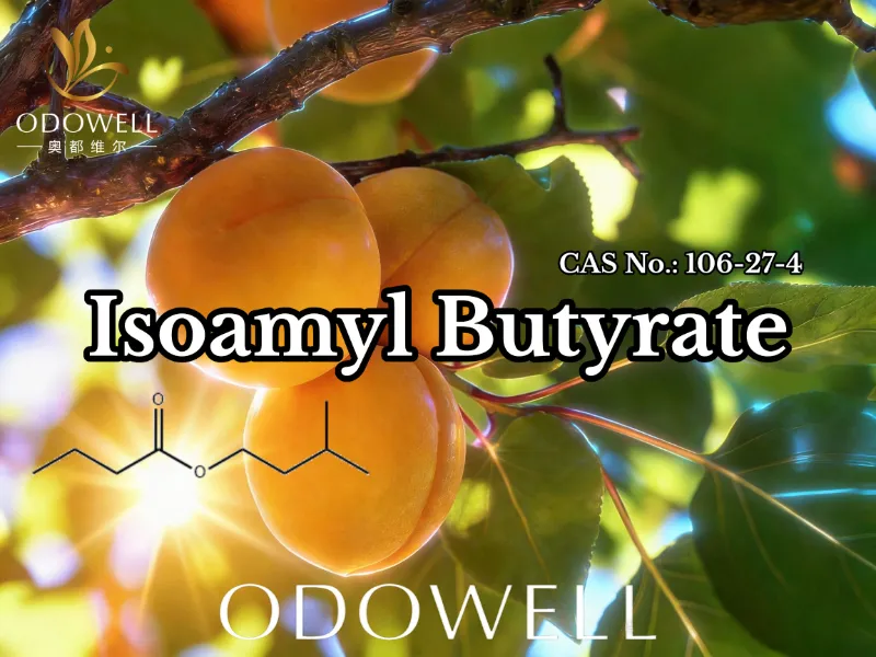 ​Molann ODOWELL Isoamyl Butyrate (CAS 106-27-4) le haghaidh Feidhmchláir Bhlais agus Cumhráin