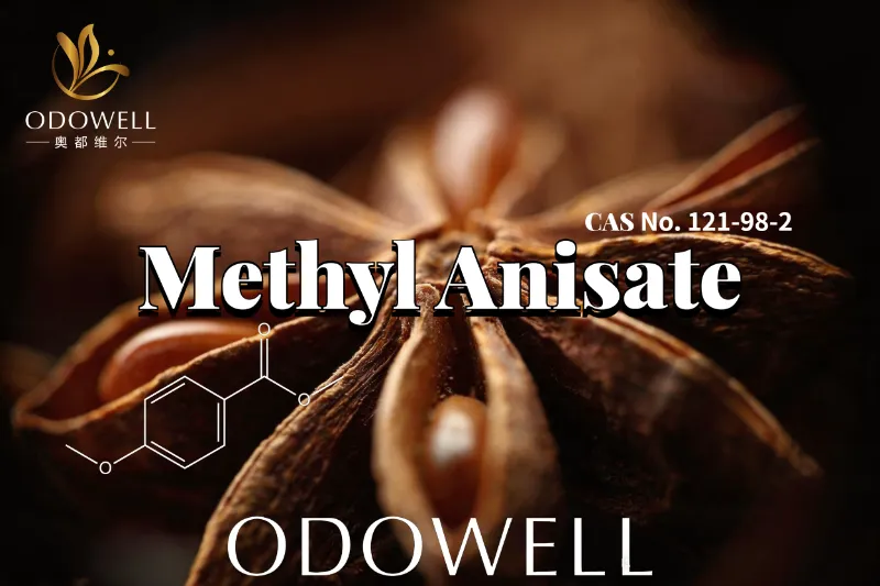 ​Molann ODOWELL Methyl Anisate le haghaidh Feidhmchláir Cumhráin Milse Anisic agus Vanilla-Cosúil