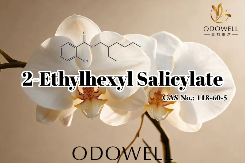 Molann ODOWELL Salicylate 2-Ethylhexyl le haghaidh Feidhmchláir Cumhráin, Cosmaidí agus Cúraim Phearsanta