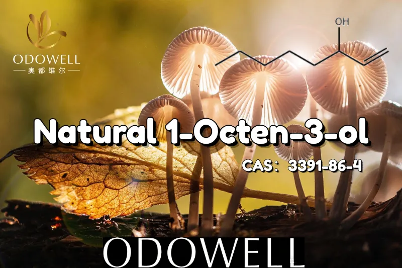 ​Molann ODOWELL 1-Octen-3-ol Nádúrtha le haghaidh Feidhmchláir atá Cosúil le Muisiriún agus le Blas Talún
