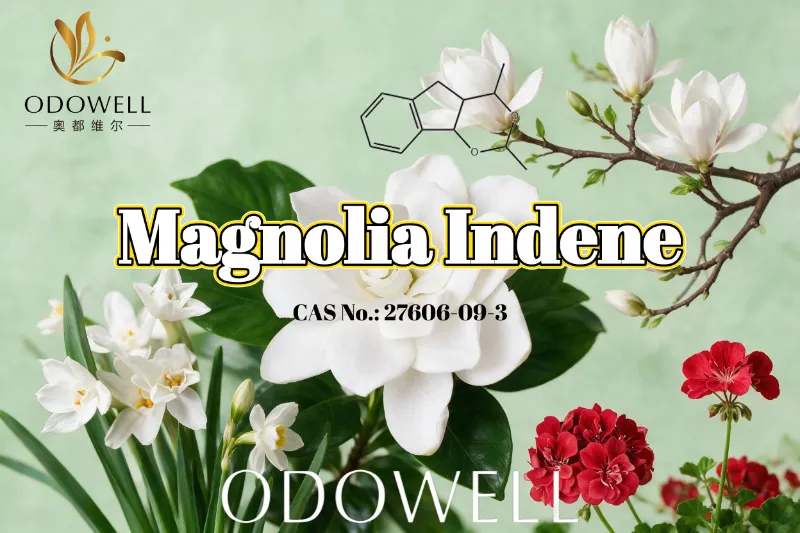 Molann ODOWELL Magnolia Indene le haghaidh Feidhmchláir úra Bláthanna Glasa agus Cumhráin Citriseacha